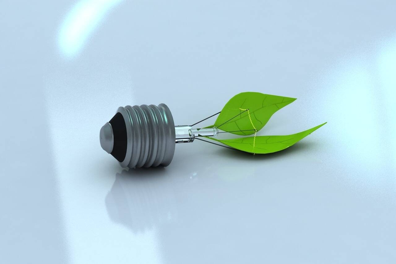 Immagine: Ecologia
