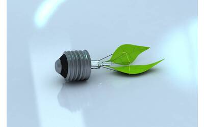 Immagine: Ecologia
