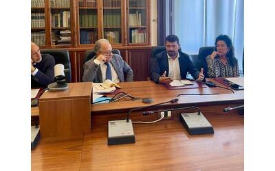 Immagine: Incontro a Ferrara su emergenza granchio blu