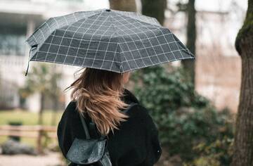 Provincia al lavoro per liberare le strade da rami e alberi caduti a causa del maltempo