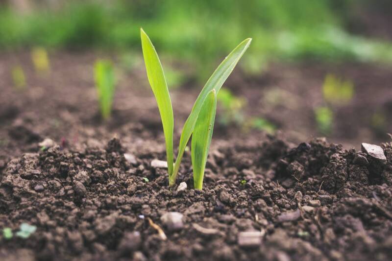 Immagine: Patto per il lavoro e per il clima