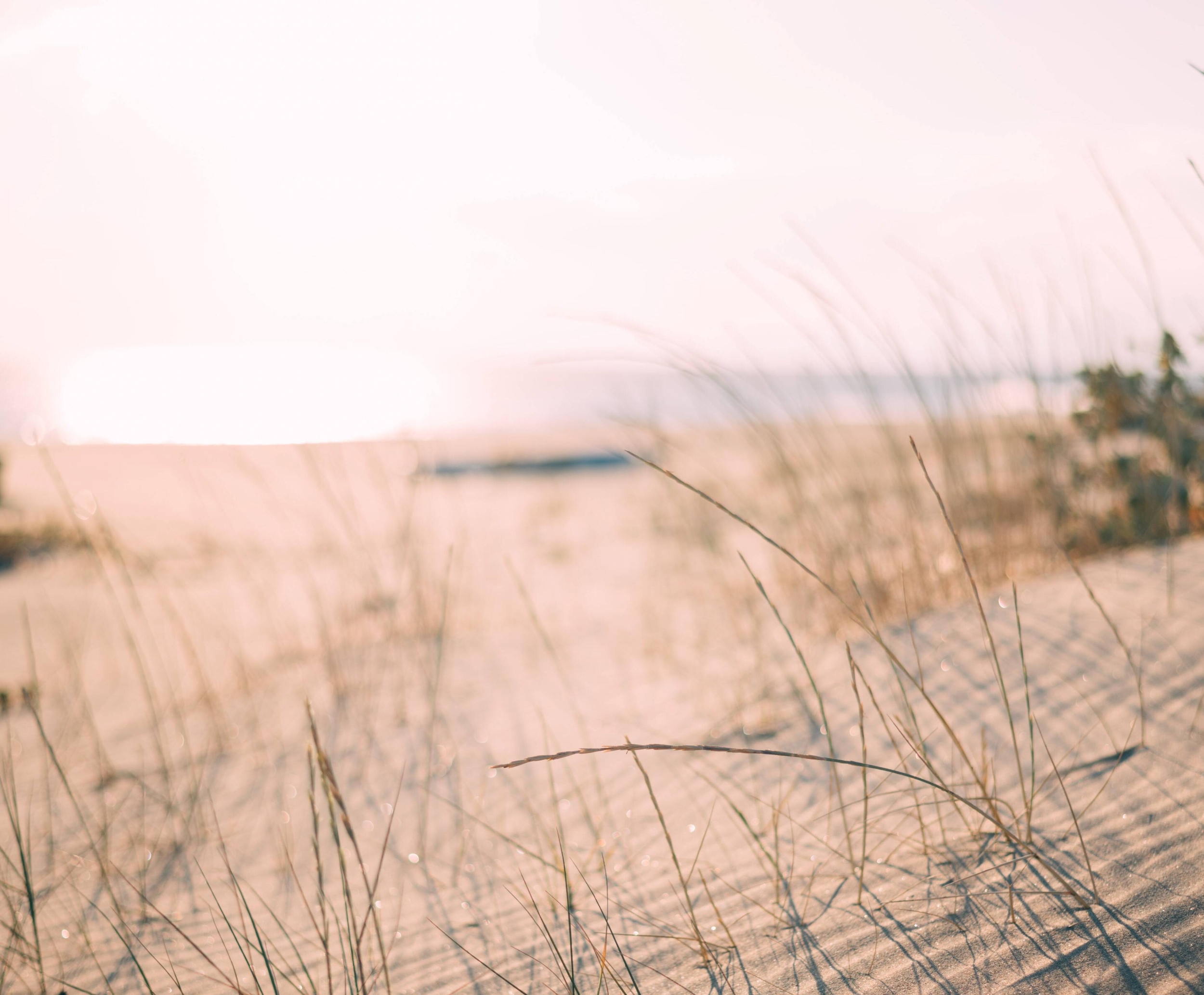 Immagine: sabbia ripascimento