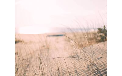 Immagine: sabbia ripascimento