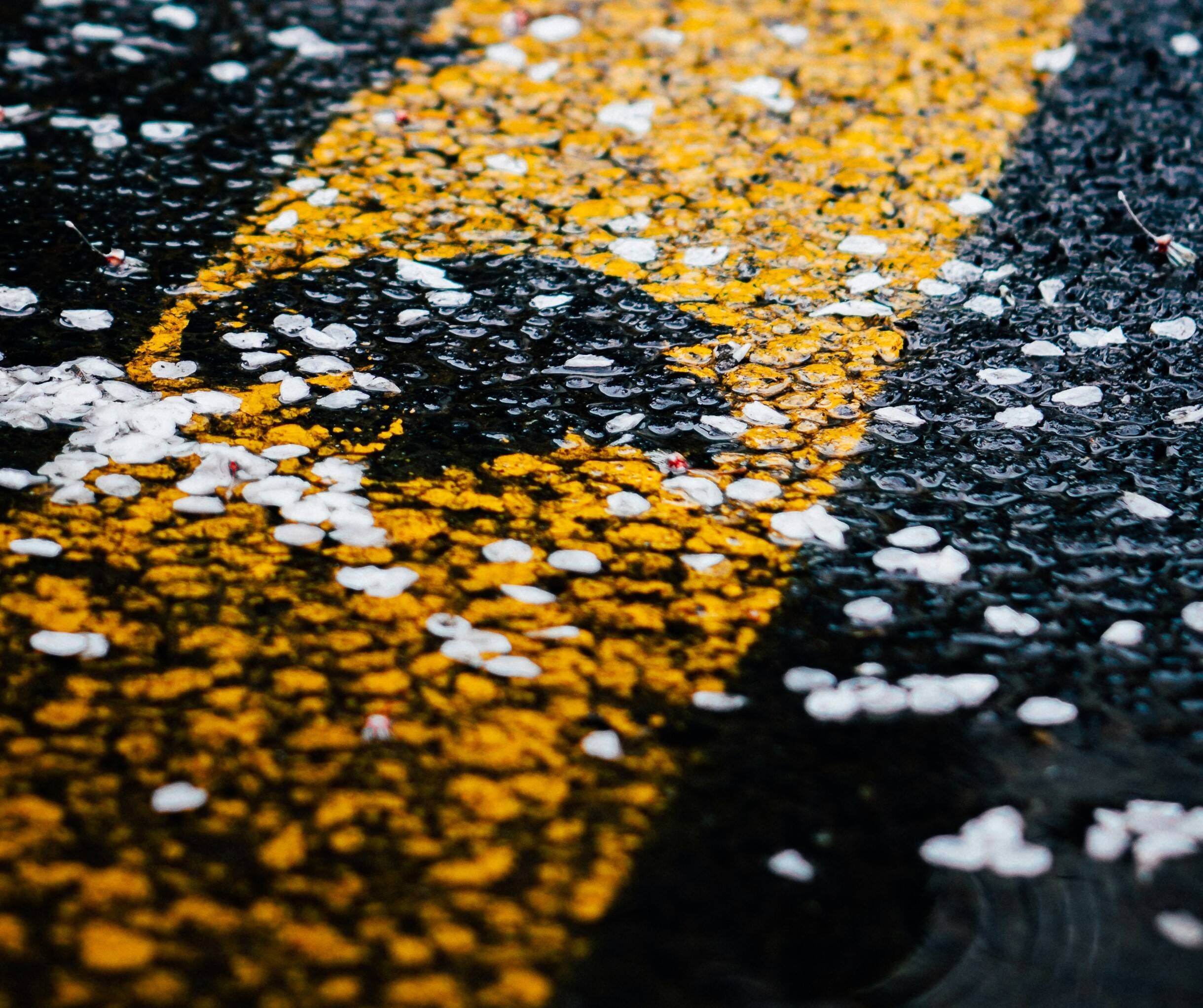 Immagine: Spargisale2