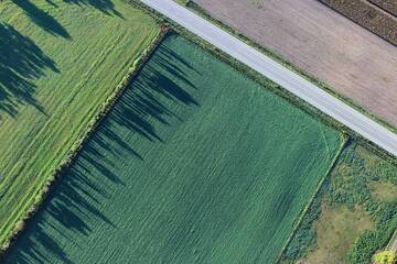 Determinati i valori agricoli medi per il 2023
