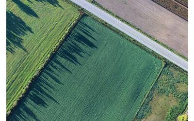 Immagine: Terreni agricoli