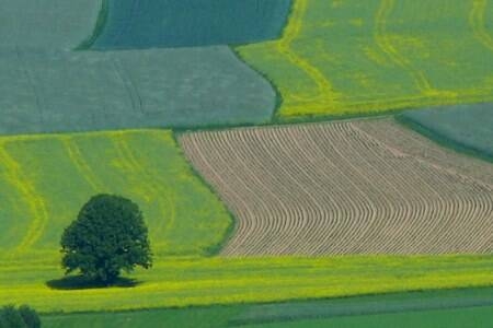 Immagine: Terreni1