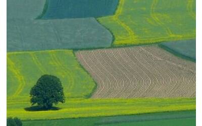 Immagine: Terreni1